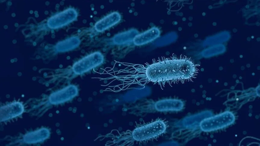 Yapay Zeka ile yeni antibiyotik keşfedildi