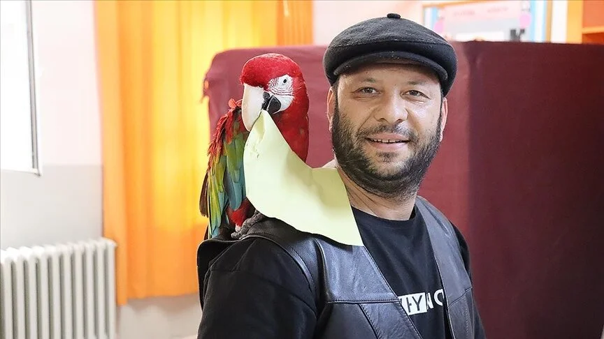 Oy kullanmaya papağanı ve atı ile gitti