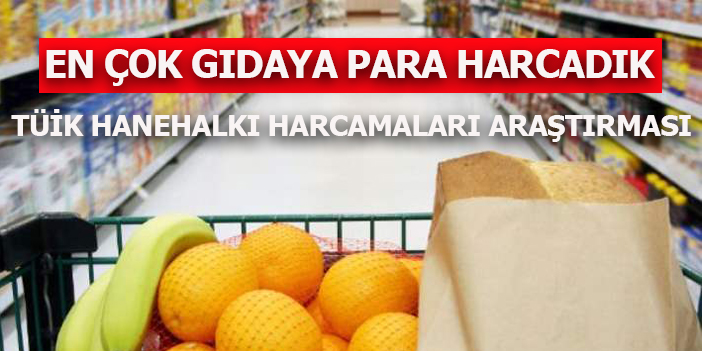 En çok gıdaya para harcadık