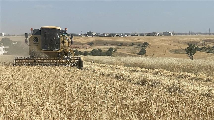 TMO'dan hububat alımı açıklaması