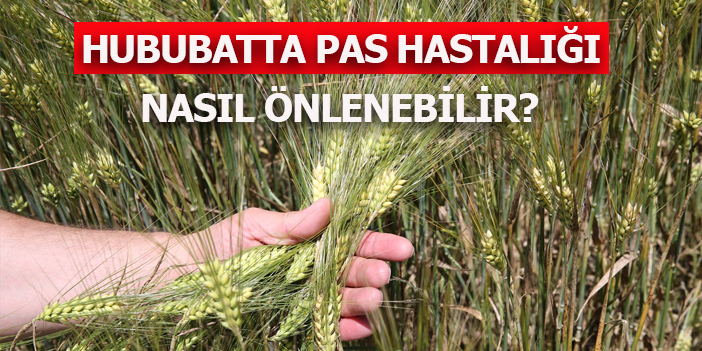 Uzmanlardan çiftçilere uyarılar