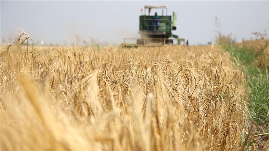 Tarımsal girdi fiyatlarında artış sürüyor