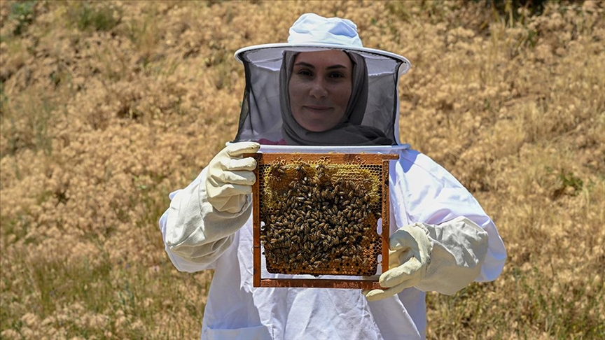5 kovanla başlayan serüven