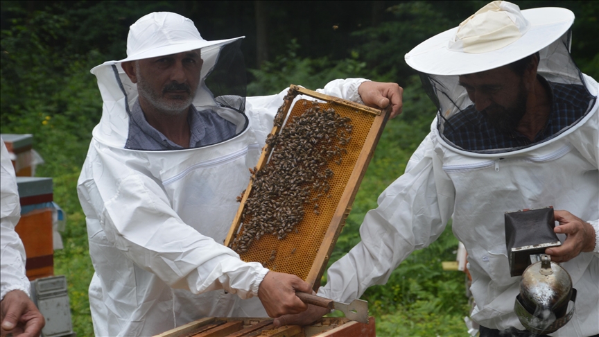 Bir kilosunun maliyeti 110 TL