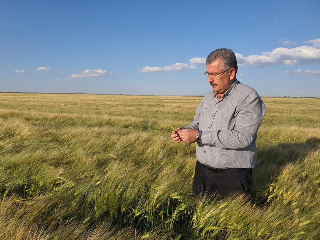 "Çiftçi ürününü satmak için acele etmesin"