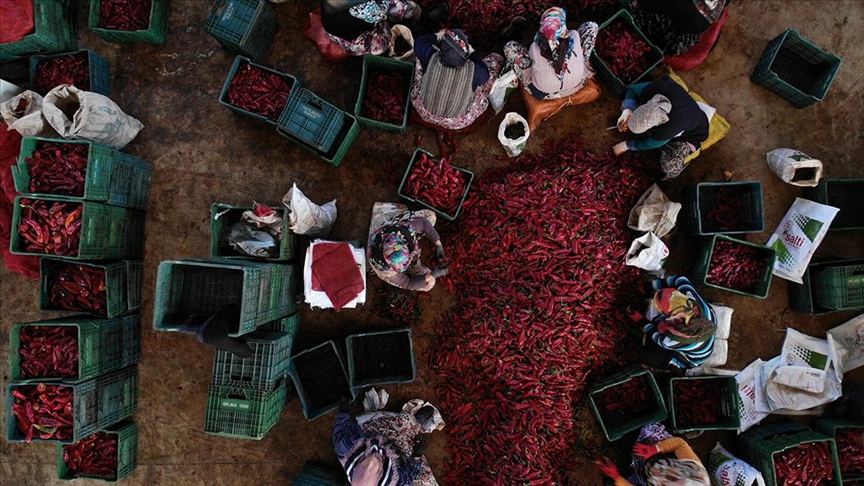 Kadın kooperatiflerine yönelik hibe tutarları artırıldı