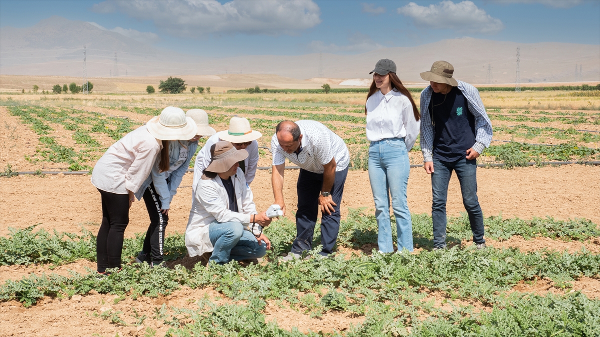 Kavun karpuz üretiminde su tasarrufuna yönelik proje