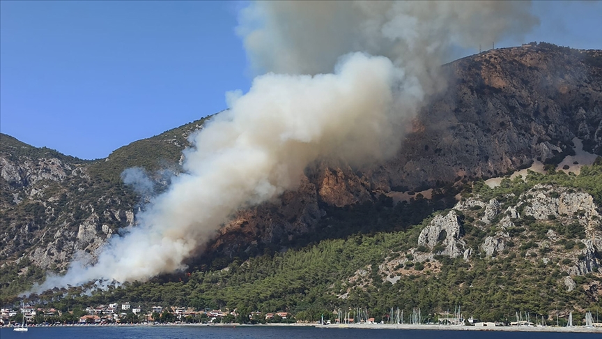 Muğla'da orman yangını