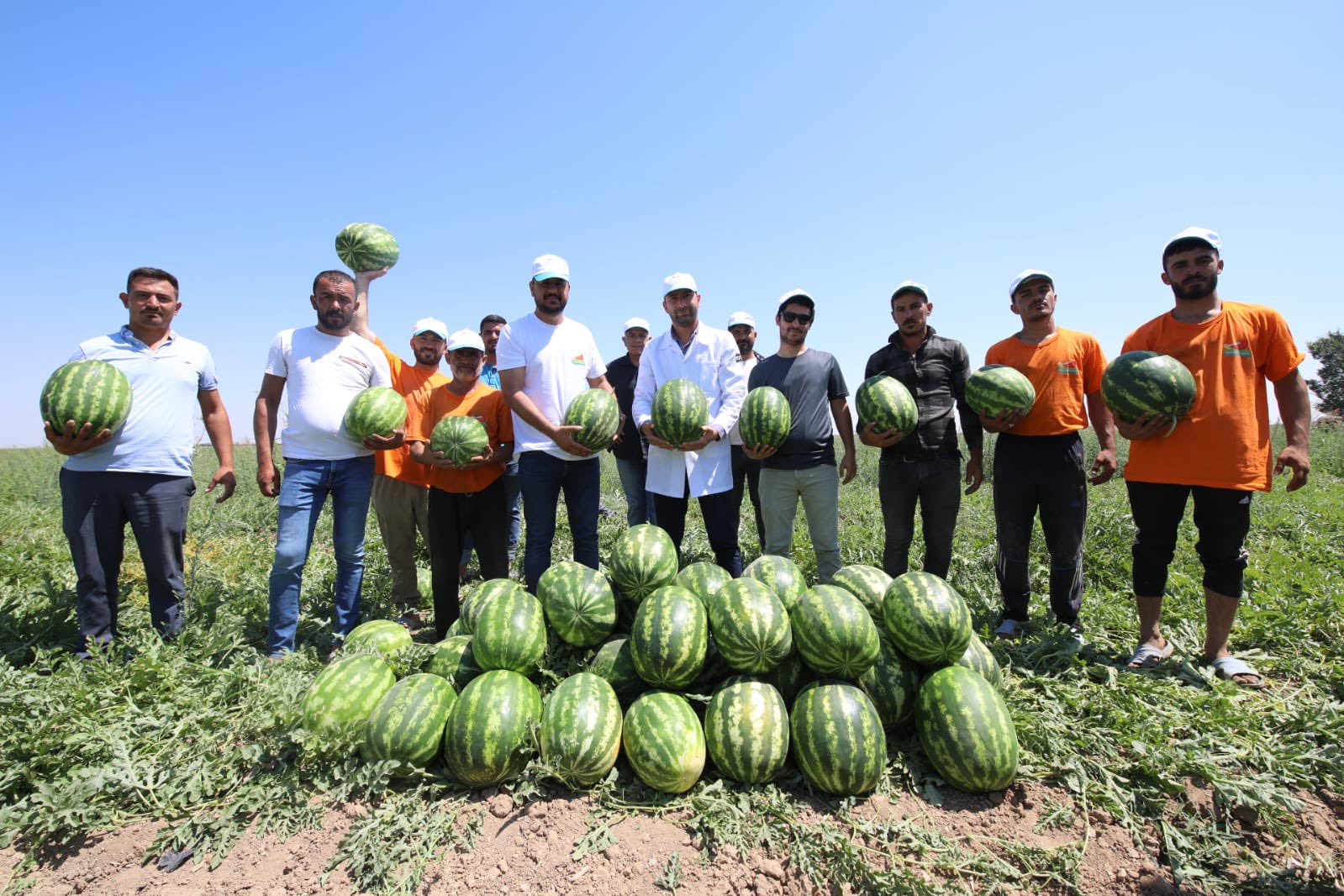 Konya karpuz üretiminde üst sıralarda