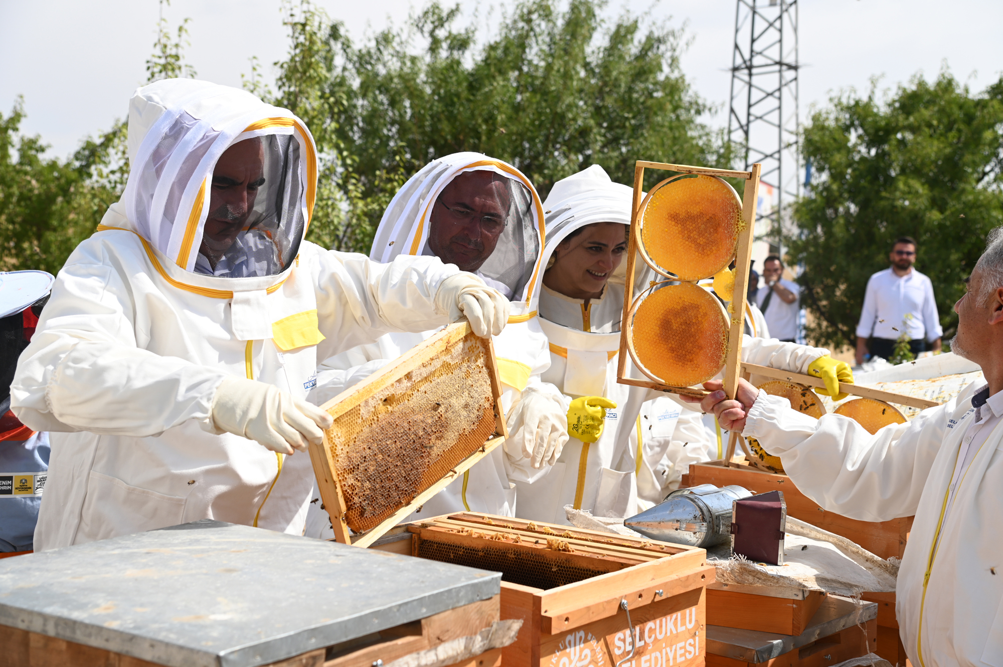 Eğribayat Mahallesi'nde ilk bal hasadı