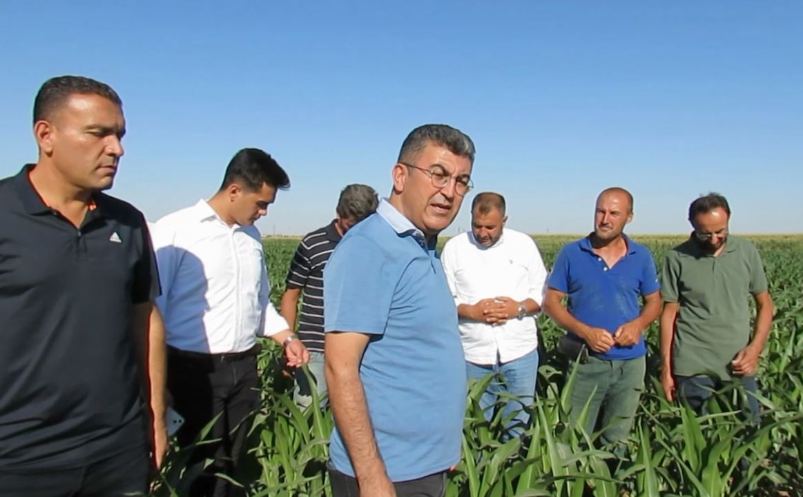 Çiftçiler milletvekiline dert yandı: "Zarar ediyoruz"