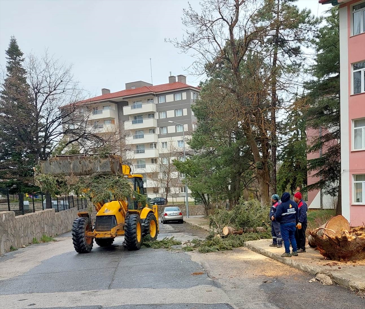 Şiddetli rüzgar hayatı olumsuz etkiliyor