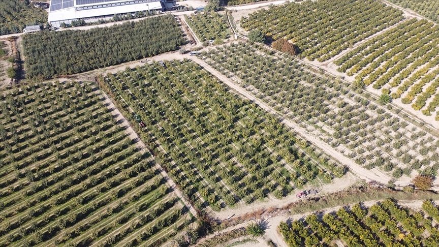 Bitkisel üretimde destek tutarları belirlendi