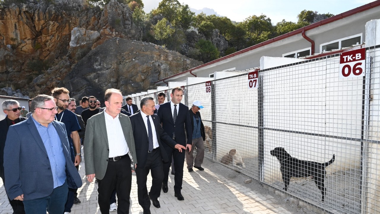 Seydişehir'de sahipsiz hayvan bakım evi açıldı