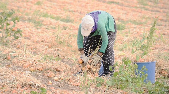 "Emekli çiftçilere de ikramiye verilsin"