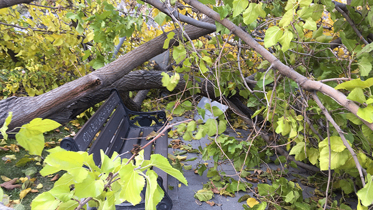 Dikkat! Konya’ya kuvvetli fırtına uyarısı