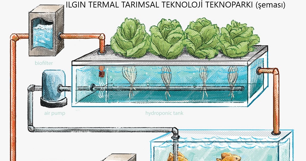 Türkiye'de ilk defa uygulanacak termal proje