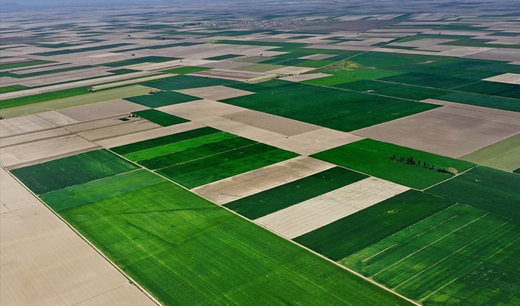 Kasım yağışları hububata yaradı