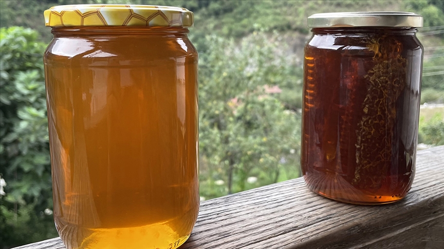 Türkiye 9 bin 383 ton bal ihraç etti