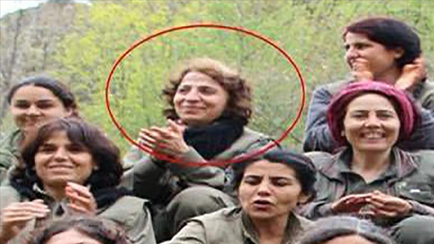 MİT'ten Kamışlı'da nokta operasyonu