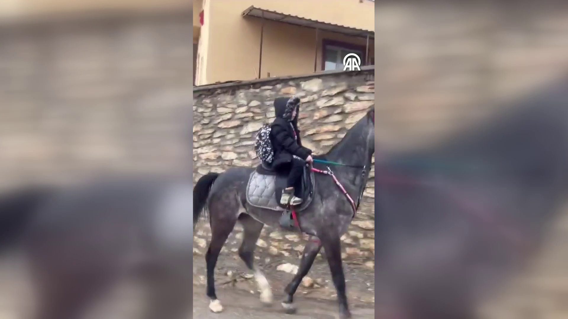 Karne almaya atla geldi