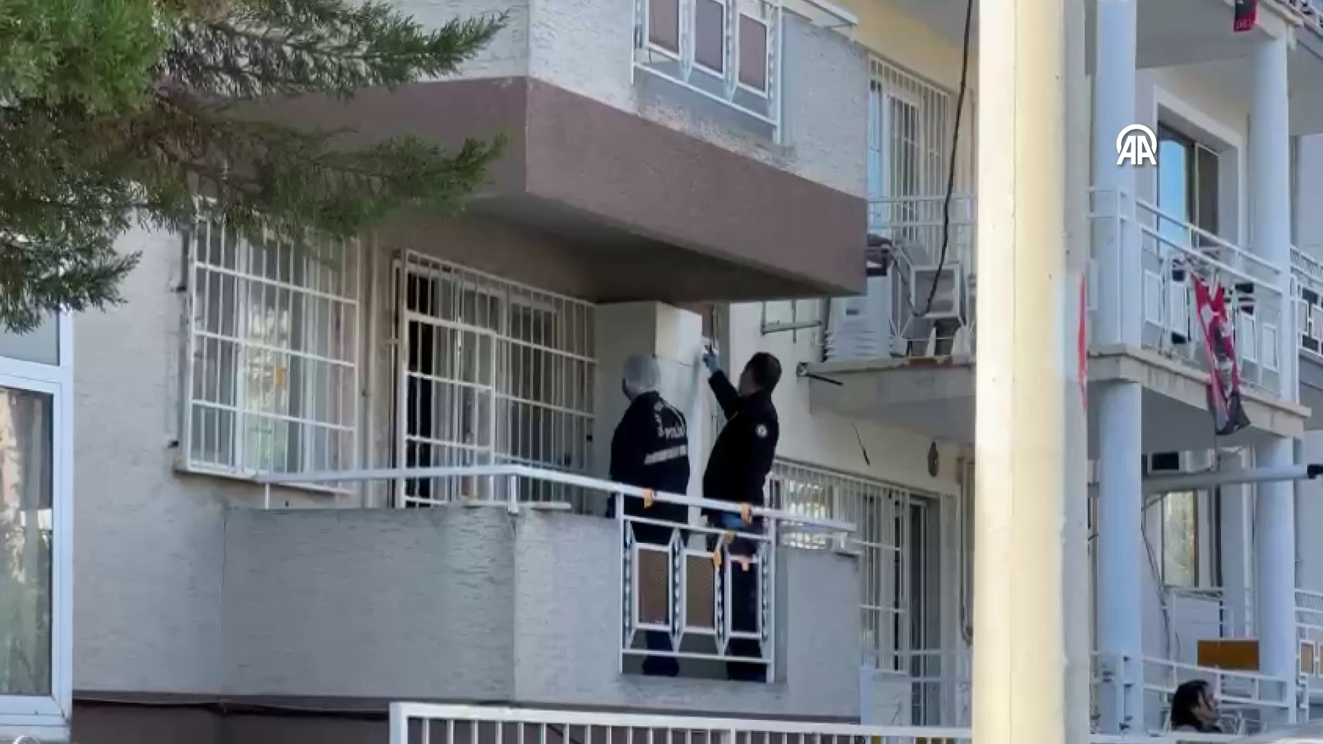Öğretim üyesi cinnet getirdi