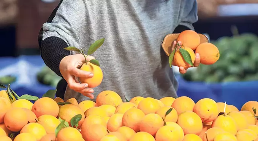 Fiyat farkı yüzde 404,2 !