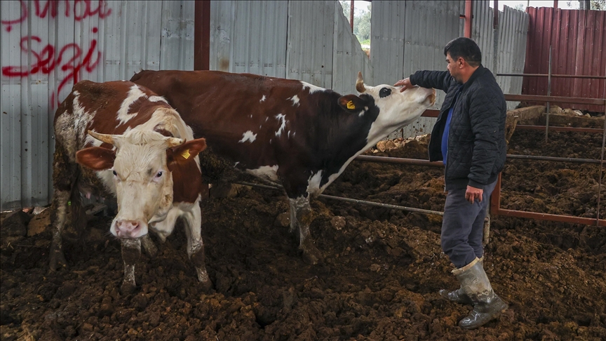 Deprem mağduru besiciler destek bekliyor