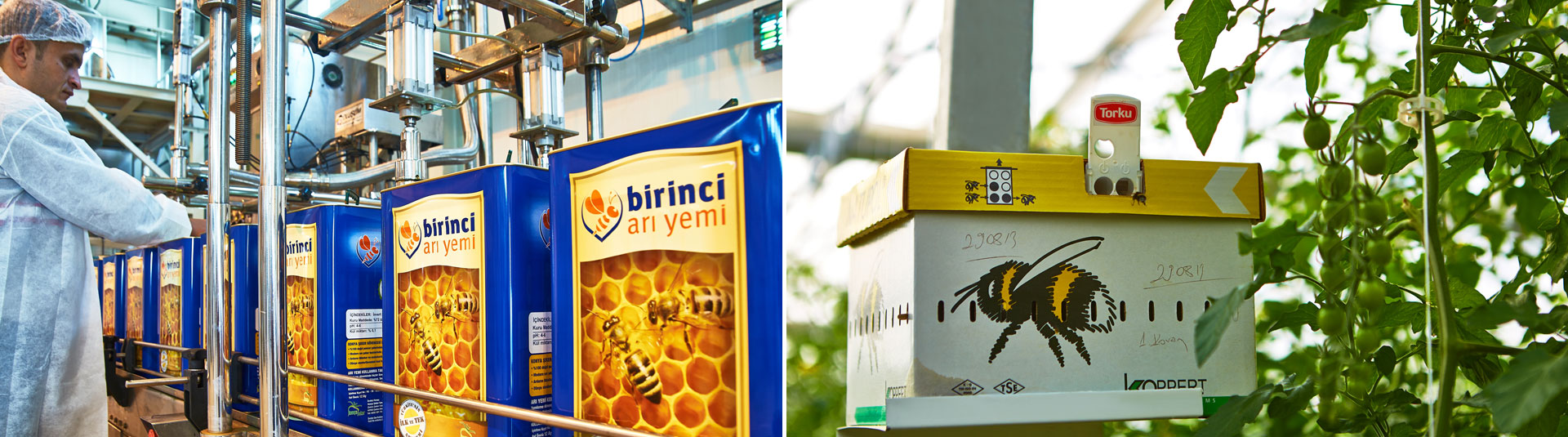 Sıvı arı yemi üretimine geçildi