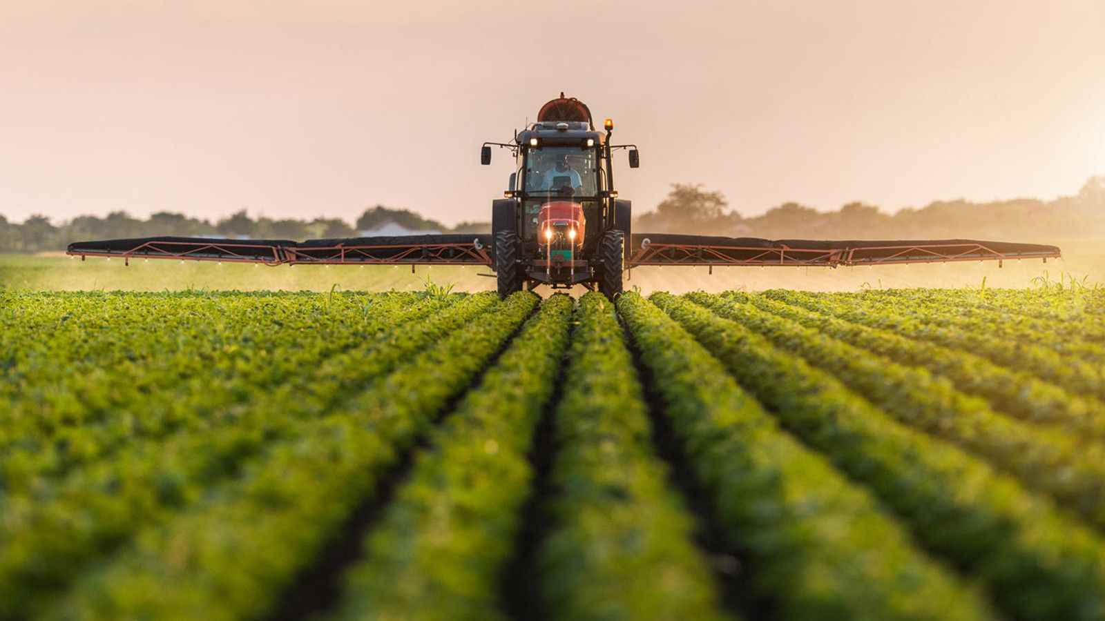 Tarımın başkenti Konya