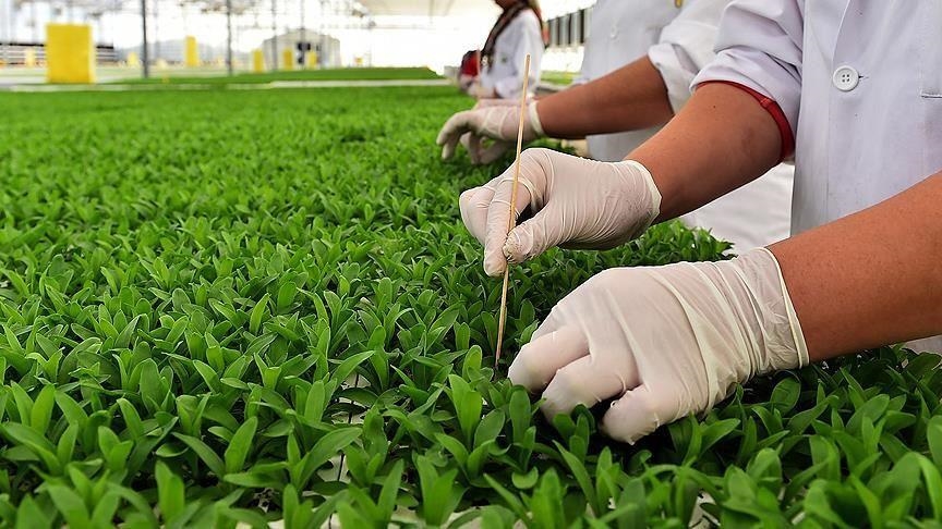 Kapalı ortamlarda bitkisel üretimde yeni uygulama