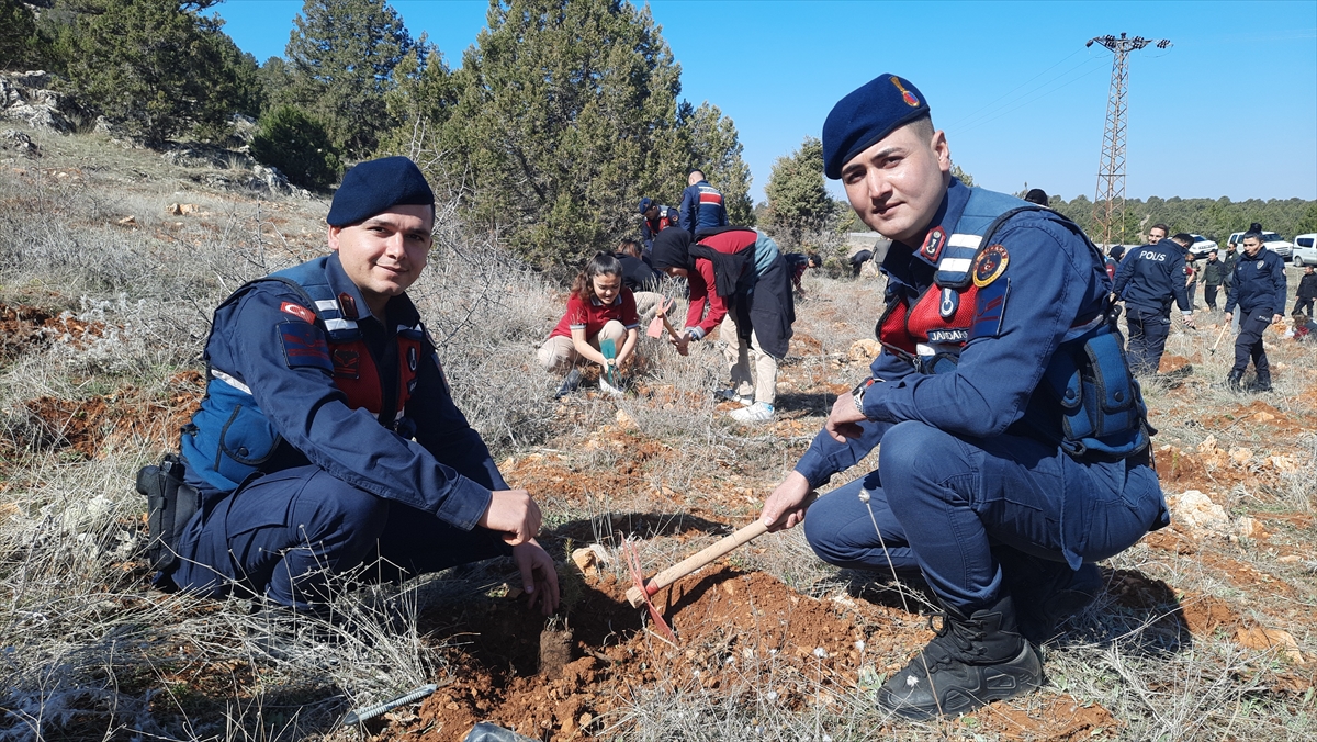 Bozkır'da fidan dikildi