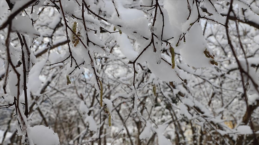 Meteoroloji zirai don uyarısı yaptı