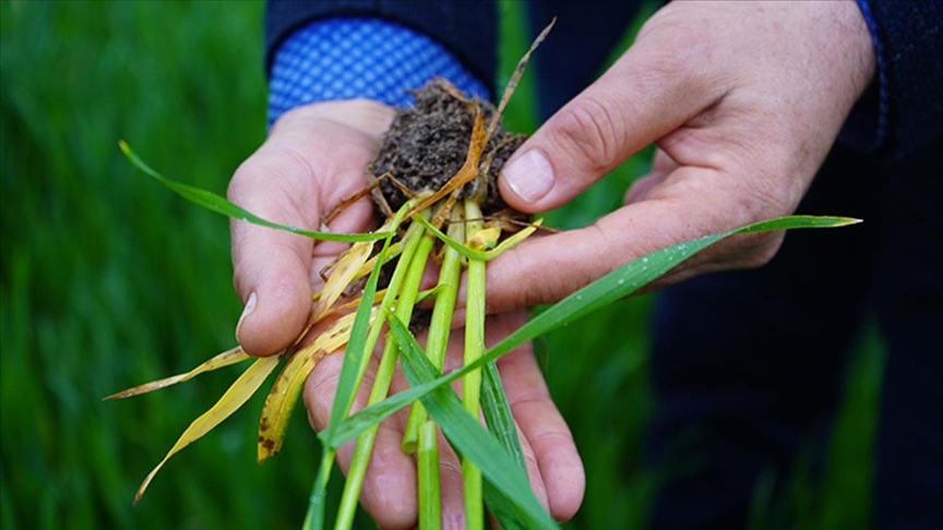 Çiftçinin umudu Mart ve Nisan yağışında