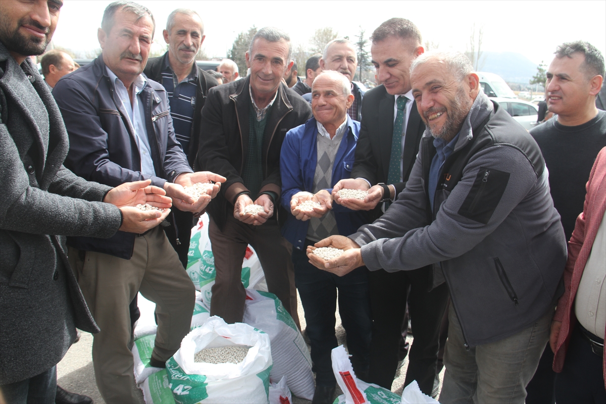Üreticilere kuru fasulye tohumu dağıtıldı