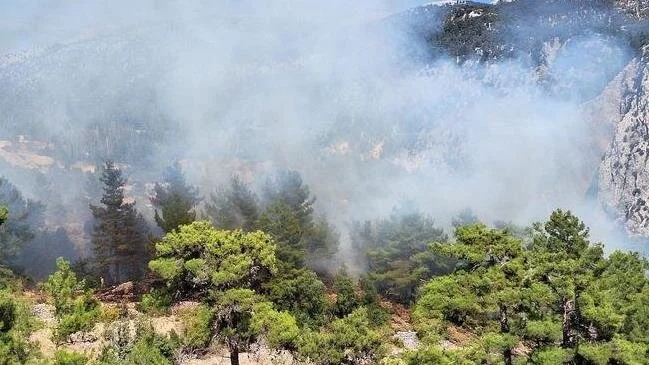 Kemer'de orman yangını