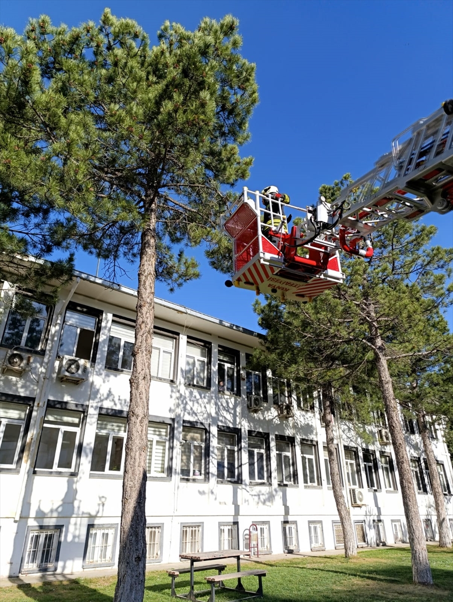İtfaiyeden kuş kurtarma operasyonu