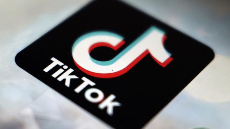 TikTok'a yaptırım uyarısı