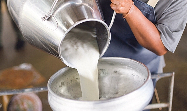 Toplanan inek sütü miktarı yıllık yüzde 7,7 arttı