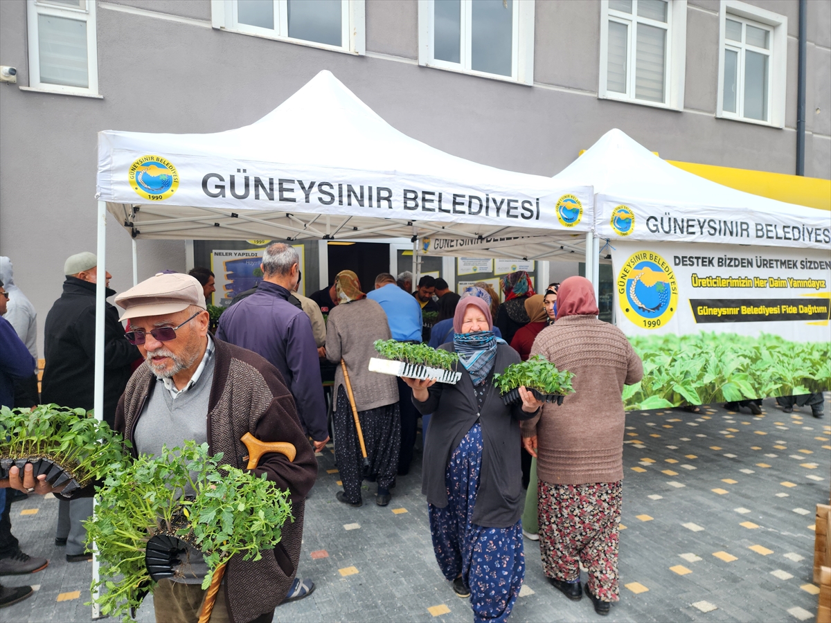 Üreticiye fide dağıtıldı