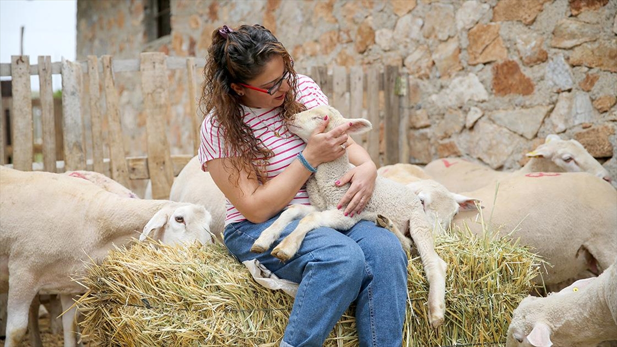 Devlet desteğiyle çiftlik kurdu