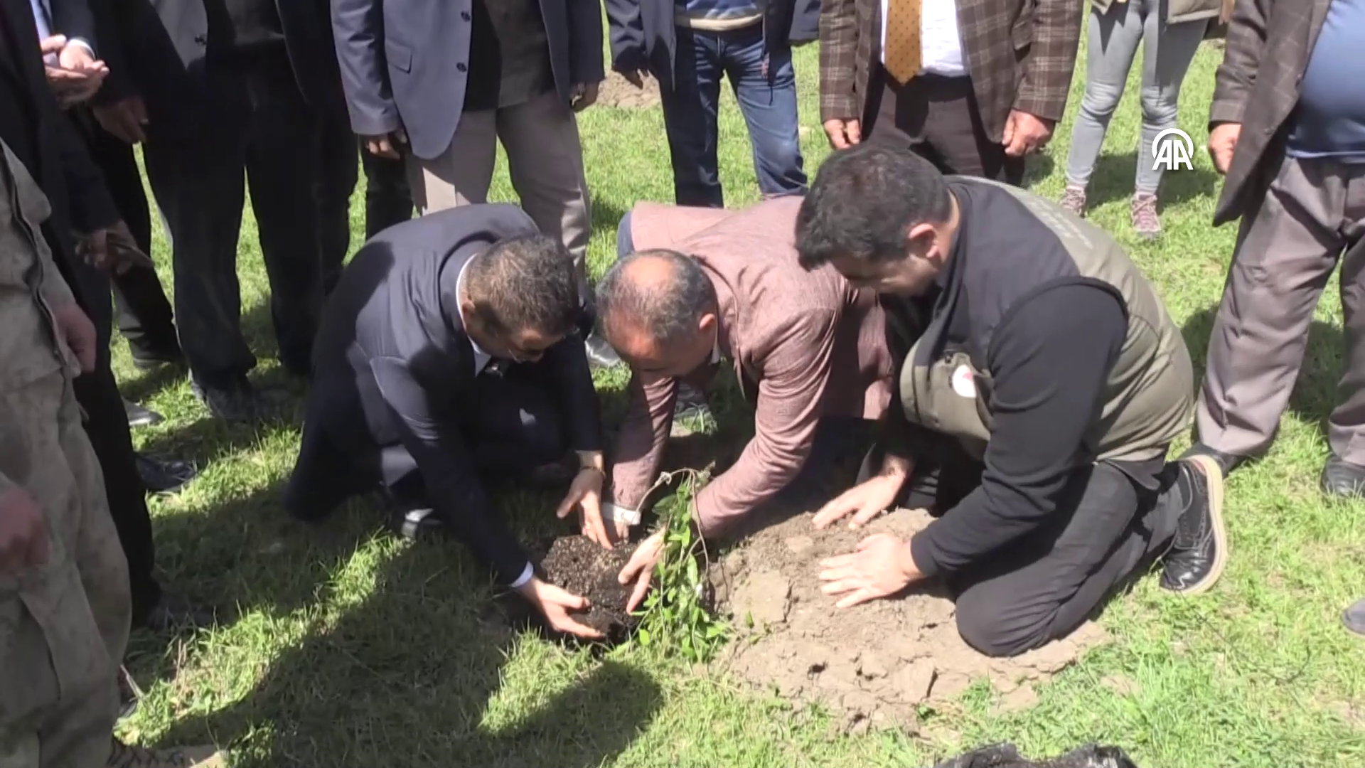 Kağızman'a nar bahçesi kuruldu