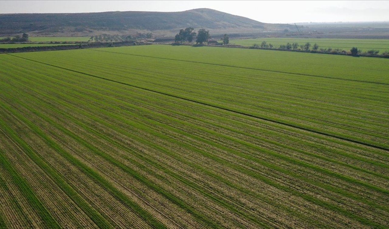 Konya'nın toprak kapasitesi belirlendi