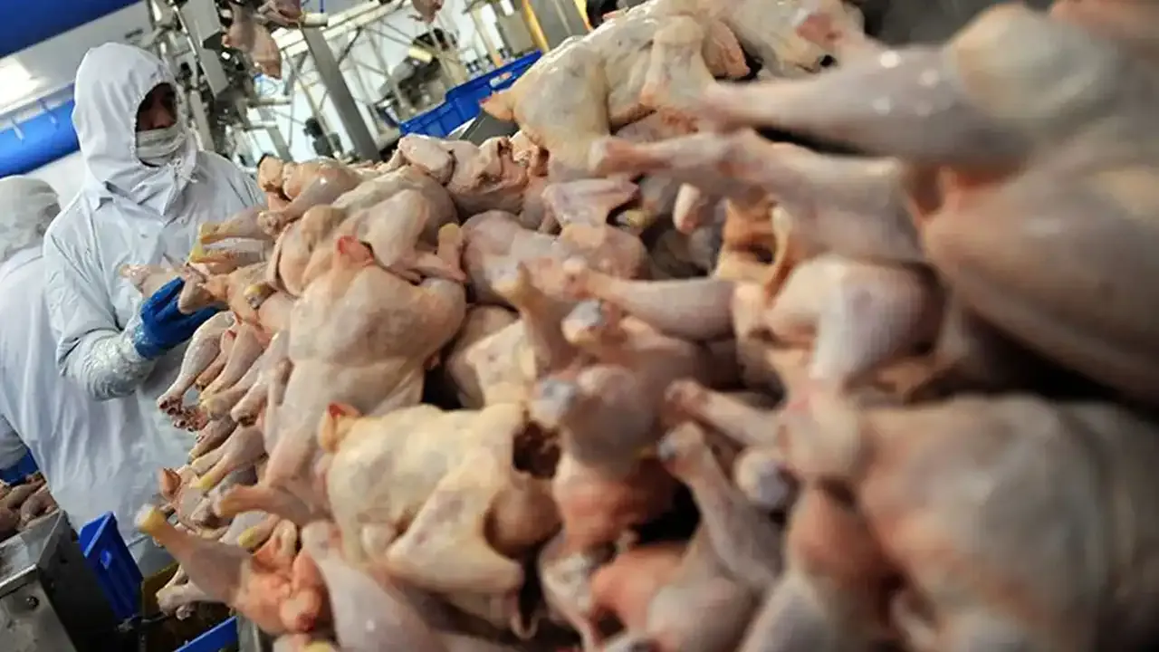 4 firmaya para cezası