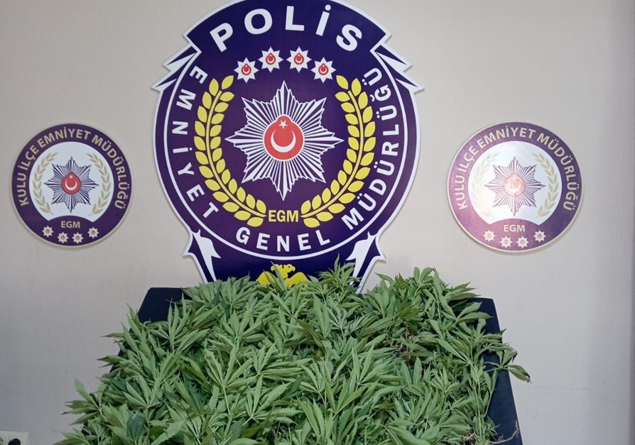 Hint keneviri drone ile yakalandı