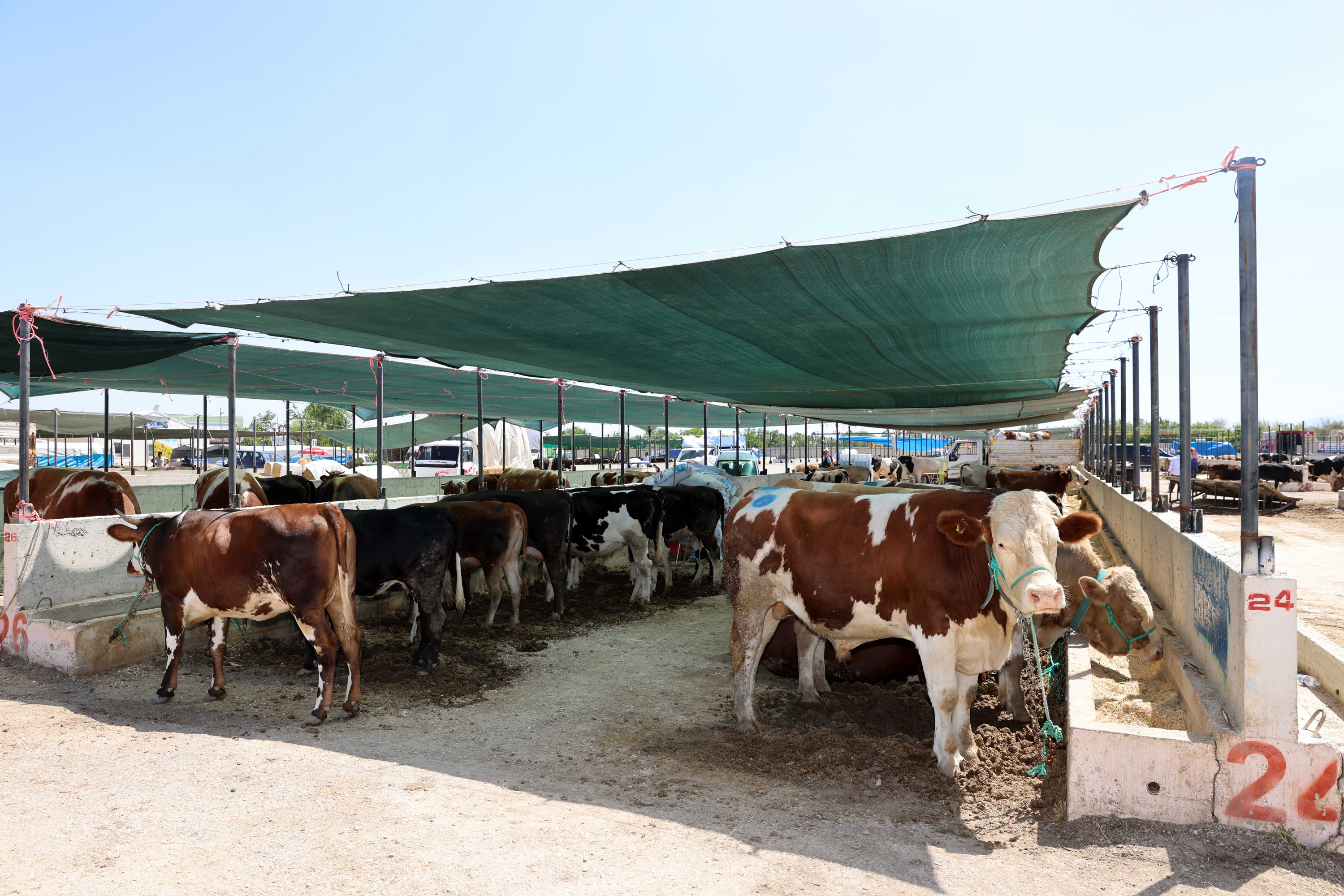 Kurban satış ve kesim yerleri belirlendi
