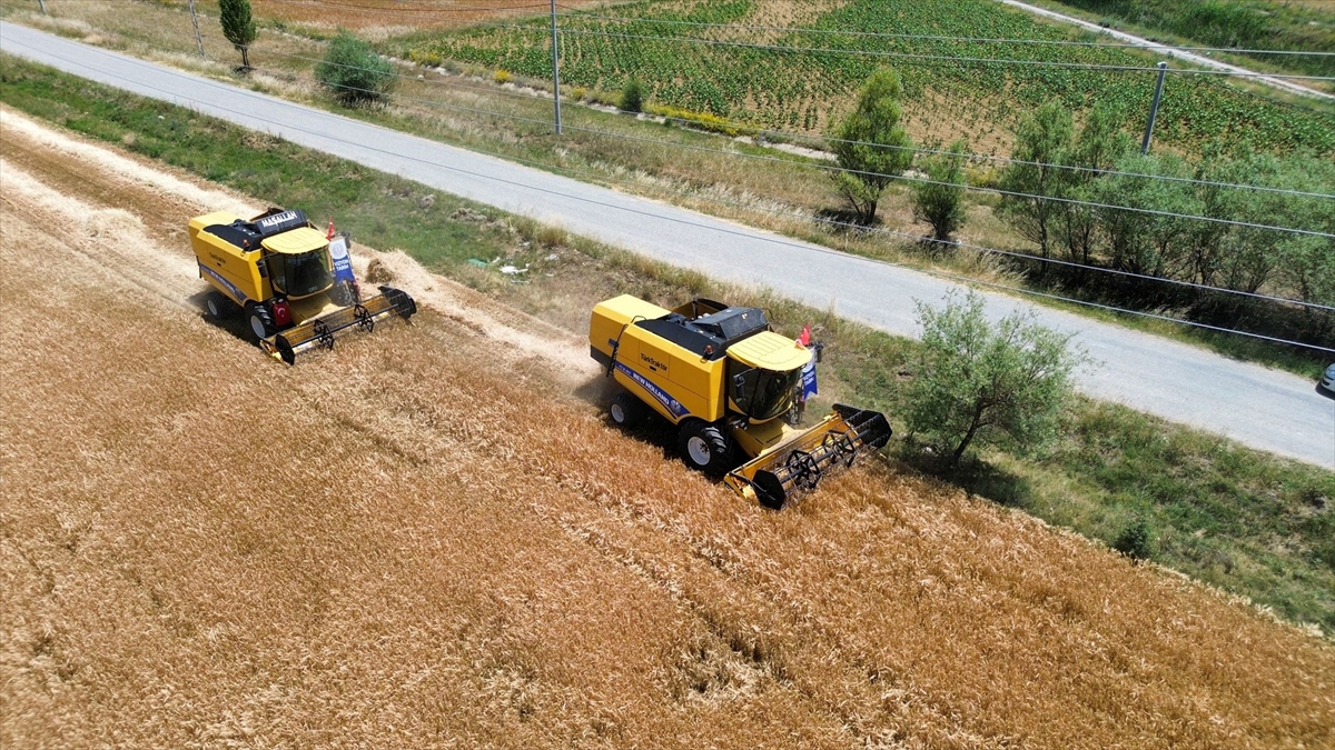Konya'da hasat sezonu