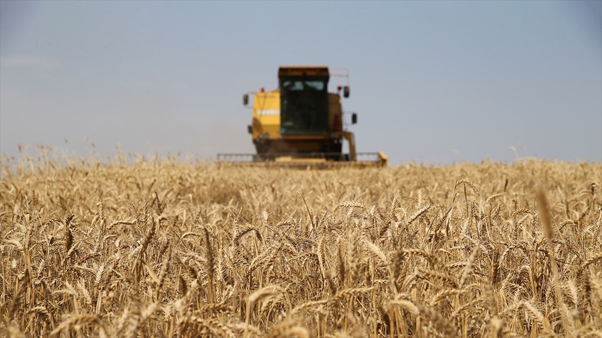 Çiftçilere tarımsal destekleme ödemesi yapıldı