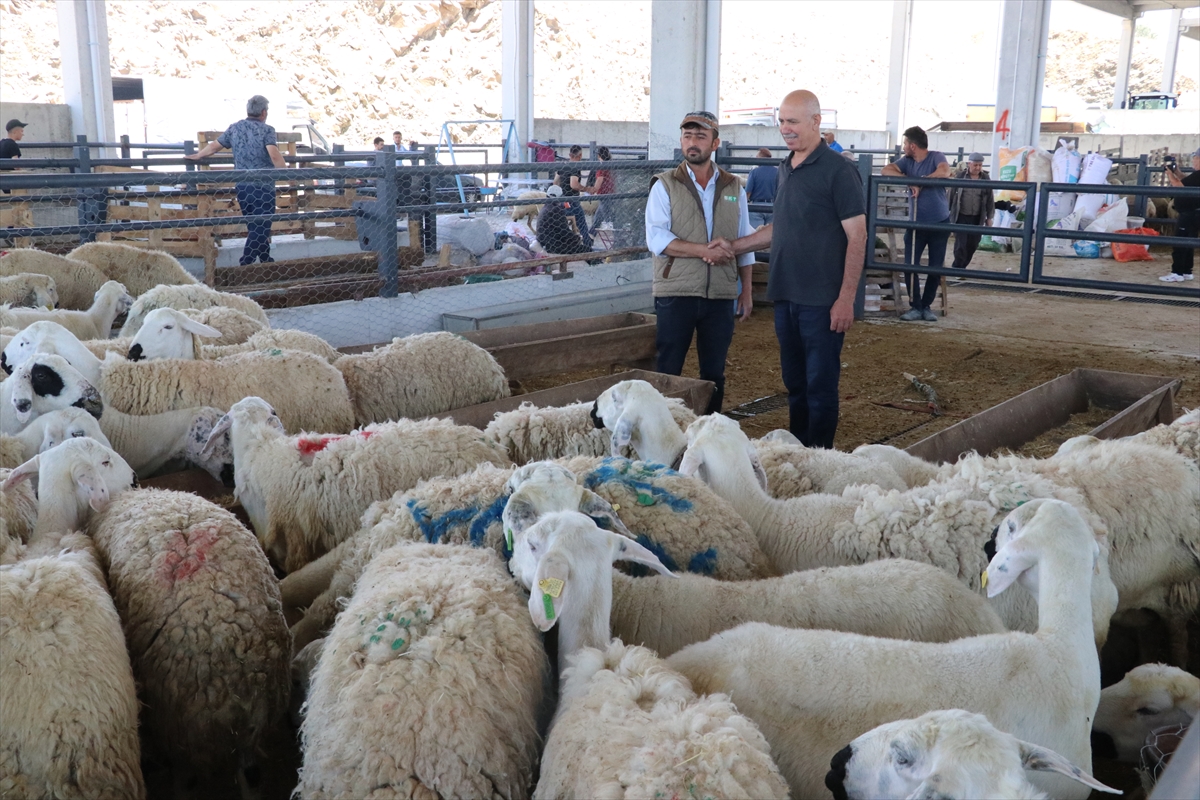 Kurban pazarlarında hareketlilik yaşandı