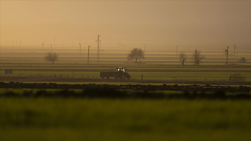 1029 proje başvurusu yapıldı